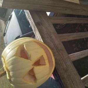 Meet your Posher, Wanda